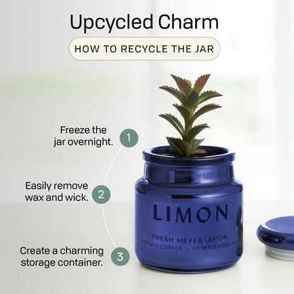 Paddywax Chroma Scented Candle with Lid in Reusable Metallic Etched Glass Jar, Clean- Burn Soy Candle with Approx. 14 Hour Burn Time, Cobalt – Limon, Fresh Meyer Lemon, 2.5 oz