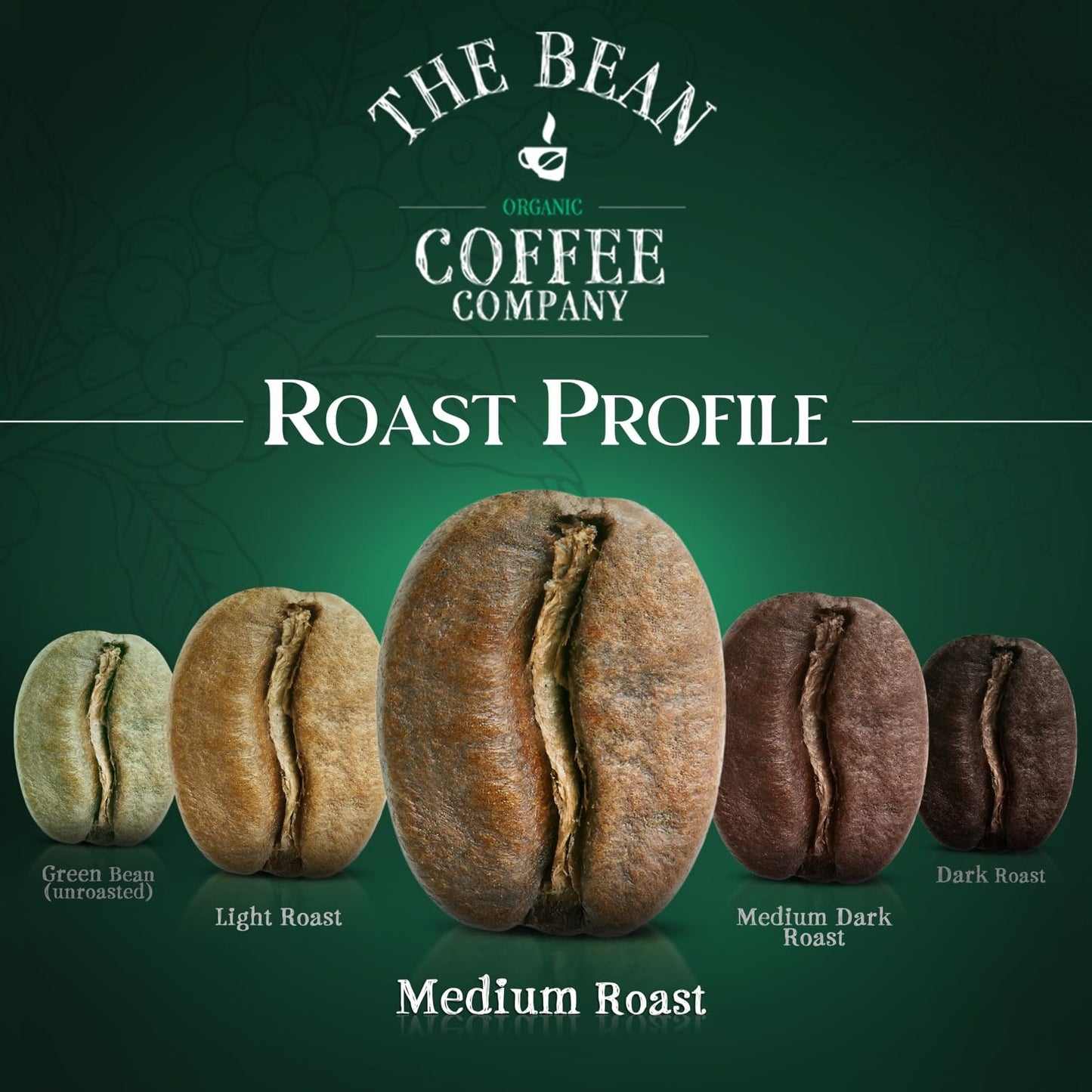 The Bean Organic Coffee Company Mocha Java, Medium Roast, Ground Coffee, 16-Ounce Bag,Café molido tostado organico