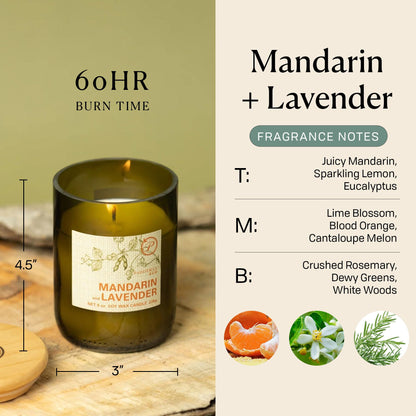 Paddywax Eco Collection Scented Soy Wax Candle in Glass Jar, Mandarin & Lavender Fragrance, Green Vessel with Wood Lid, 8 oz
