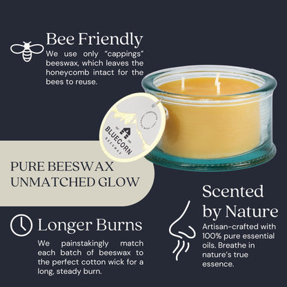 Bluecorn Botanica Beeswax 3-Wick Candle – Eucalyptus & Orange, 100% Pure Beeswax & Essential Oils – 10oz Hand-Blown Recycled Spanish Glass – Non Toxic, Clean Burning, Refillable Glass Jar