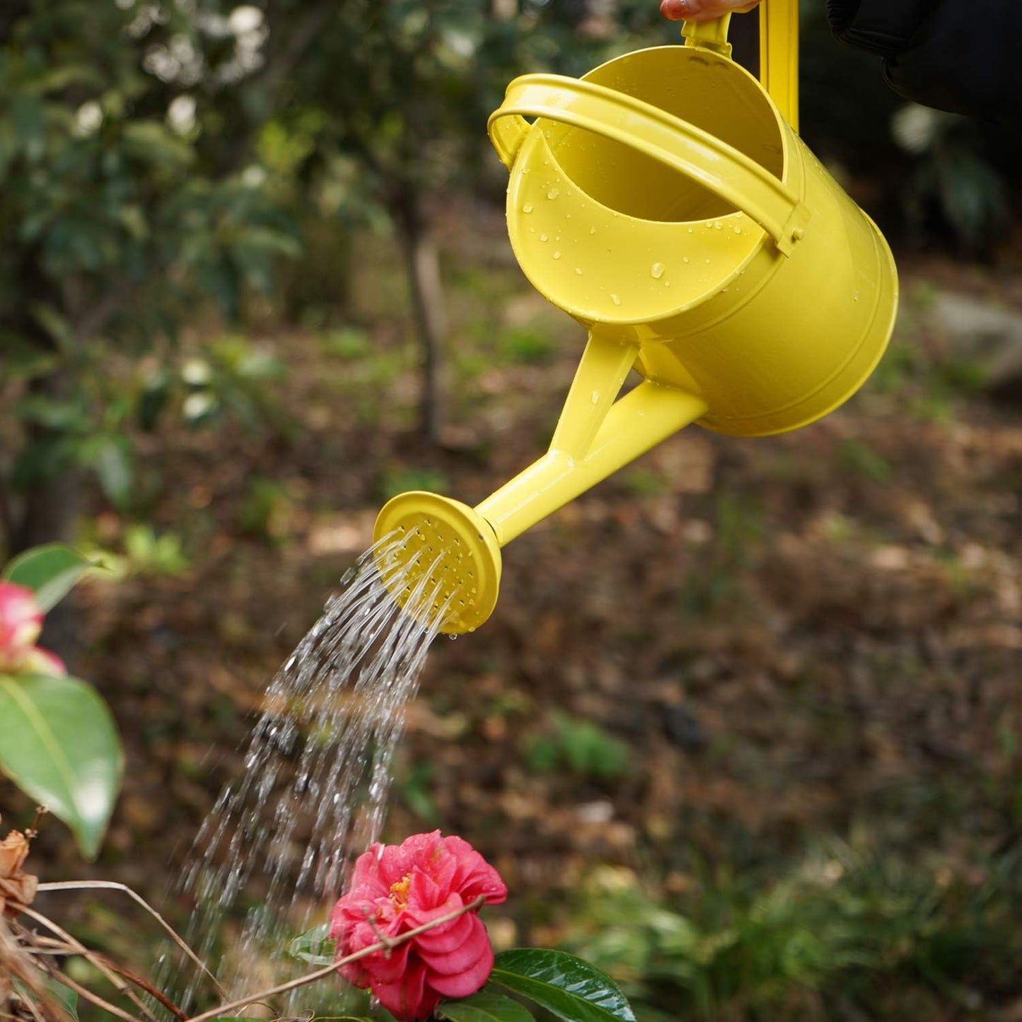 Topadorn Watering Can Metal Watering Pot with Handle and Rosehead Modern Style, 11.4”W x 4.72”D x 8.66”H, 55 Oz.,Yellow