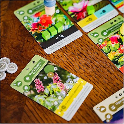 Inside Up Games Earth | Board Game of The Year 2023 | Ecosystem Building Card Drafting Action Selection | Create Amazing Natural Synergies | 1 to 6 Players | 45 to 90 Minute | Age 13+