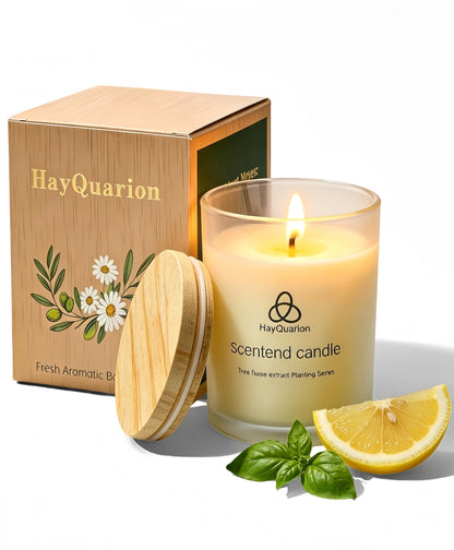 HayQuarion Lime & Basil Scented Non Toxic Candles for Home, Natural Soy Wax Aromatherapy Candle Gifts for Women Men, Meditation, Aromatherapy, Fresh Home Decor, Odor Eliminating Citrus for Kitchen