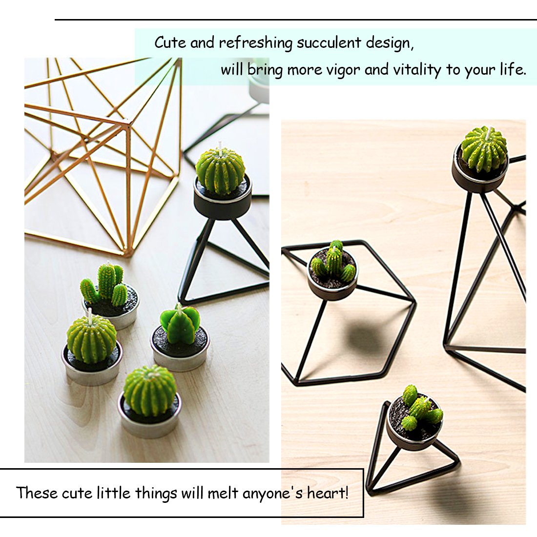 Swpeet 12Pcs Decorative Succulent Cactus Tealight Candles Kit, Cute Smokeless Succulent Plants Perfect for Candles Festival Wedding Props and House-Warming Party