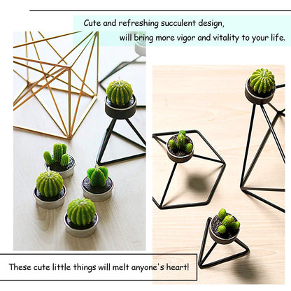 Swpeet 12Pcs Decorative Succulent Cactus Tealight Candles Kit, Cute Smokeless Succulent Plants Perfect for Candles Festival Wedding Props and House-Warming Party
