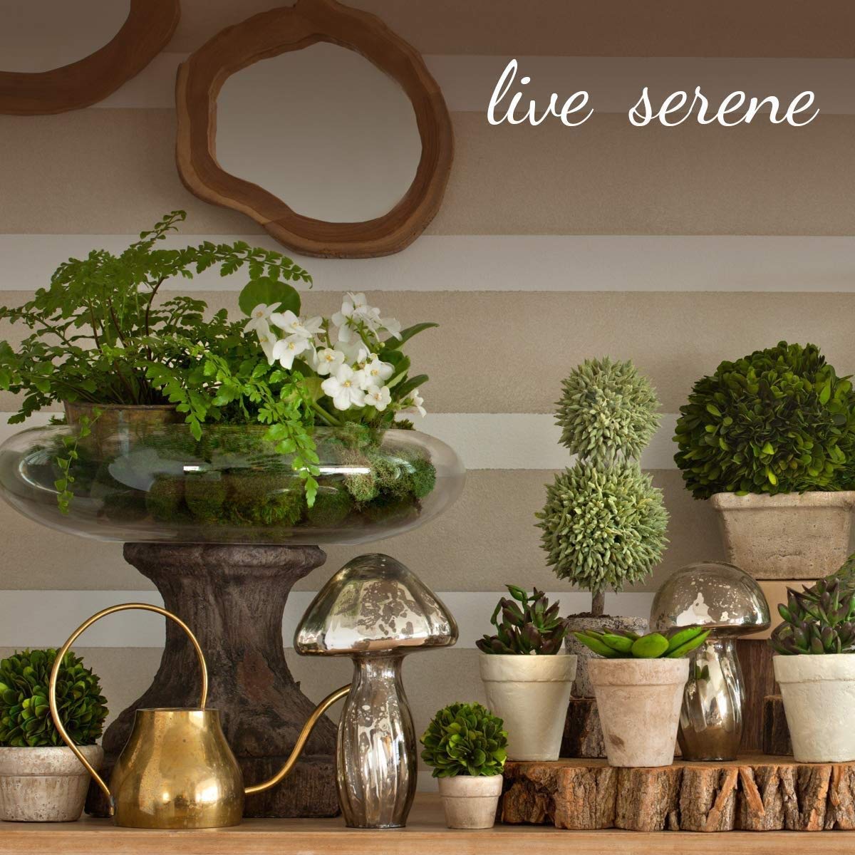 Serene Spaces Living Set of 30 Deep Tea Lights, Classic Tea Lights in Clear Holders, 1.5" Diameter and 1" Tall