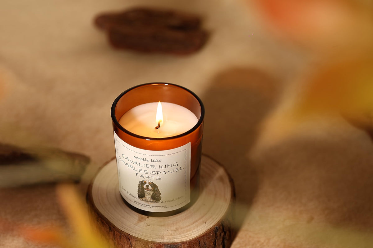 Cavalier King Charles Spaniel Gifts & Decor, King Charles Cavalier Gift, Dog Mom Gifts, Dog Farts Candle - Lavender & Eucalyptus, Crafted by Natural Soy Wax & Natural Essential Oils