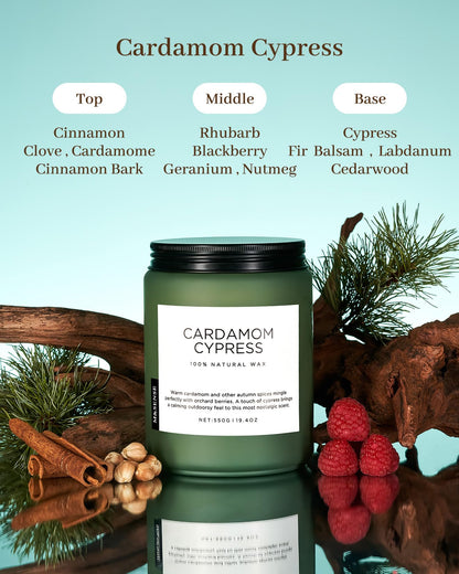 M&SENSE Cardamom Cypress Fir Large Soy Candles for Home Scented 2 Wick Large Soy Natural Candles 19.4oz 110 Hours Long Lasting Slow Burning Woody Scented Winter Holiday Birthday Gifts