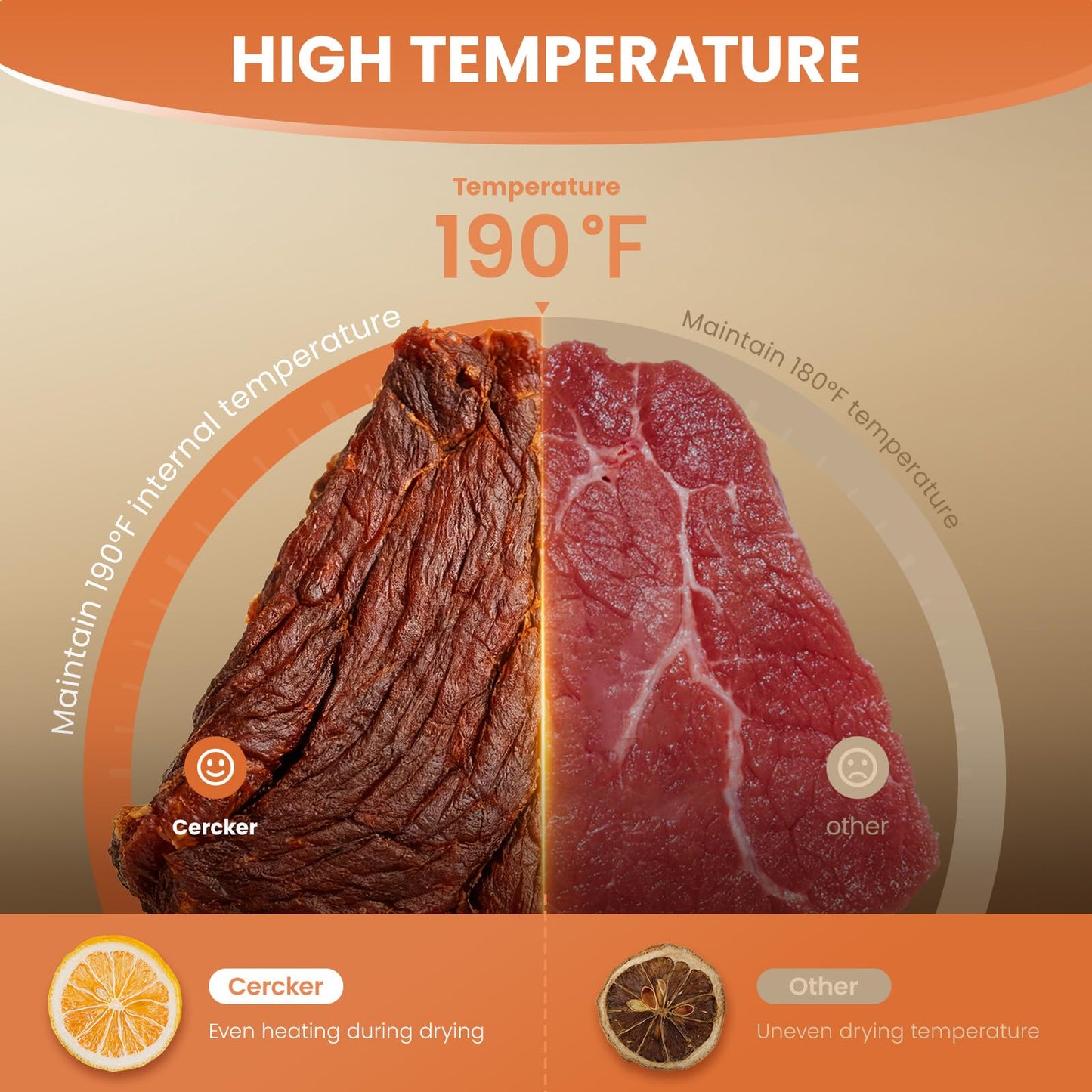 Food-Dehydrator Machine 12 Stainless Steel Trays, 10.9ft² Meat Dehydrator for Jerky, 800W Dryer for Herbs, 190ºF Temperature Control,24H Timer,Powerful Drying Capacity for Fruits,Yogurt
