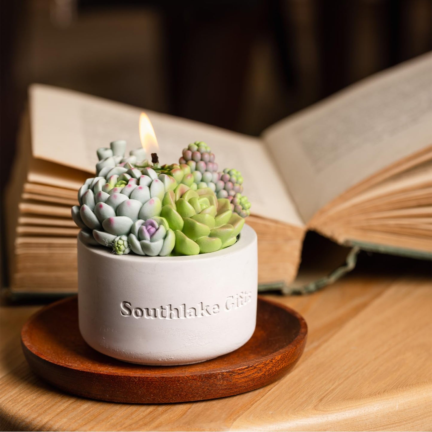 Assorted Succulent Pot Scented Vegetable Wax Candle for Spa Home Decoration Wedding Gift