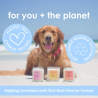 Pet Safe Candle for Dogs | Non Toxic Coconut Apricot Wax Candle | Clean Burning, Paraffin-Free | Pet Odor Eliminating Home Fragrance | Walk in the Woods | 4 oz