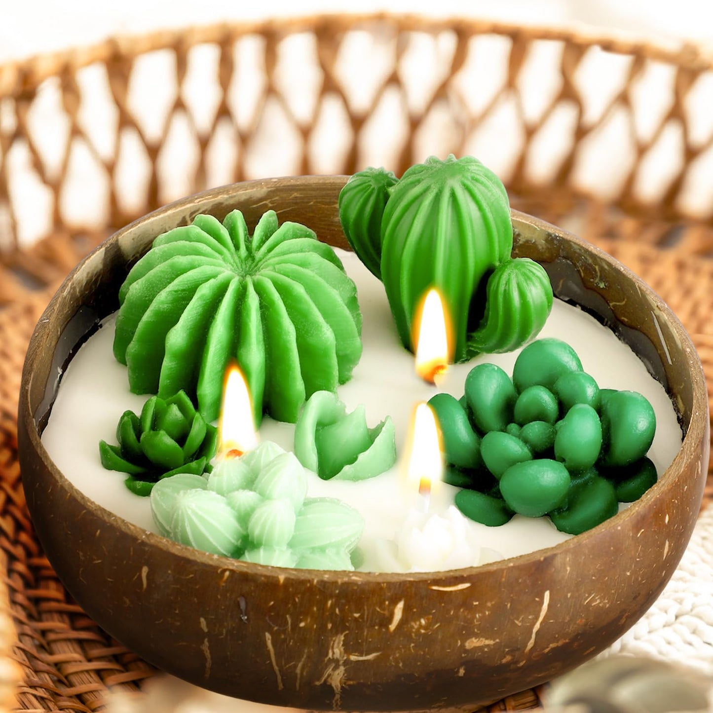 Conelist Succulent Cactus Scented Candle 5.9'' Coconut Scent for Home Wedding Spa Baby Shower Party