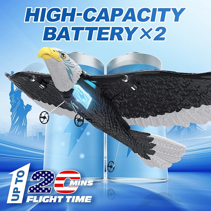 DEERC RC Plane Remote Control Eagle Plane RTF Airplane 2.4GHZ 2CH Flying Bird with 2 Batteries &amp Propeller 6-axis Gyro Stabilizer Easy to Fly for Beginners Adults Kids Boys