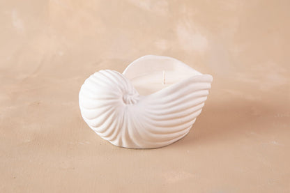 Gladsome® Concrete Sea Shell Jar Candle | Velvet Rose Aroma | 12+Hours Burn Time | Perfect for Home Decor & Gifting (J)