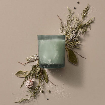 Thymes Scented Candles for Home Decor - Luxury Home Fragrance Gifts for Women & Men - Winter Candles with Crisp Notes of Sage, Eucalyptus, & Cypress Needles - Sage-Green (Highland Frost, 6.5 oz)