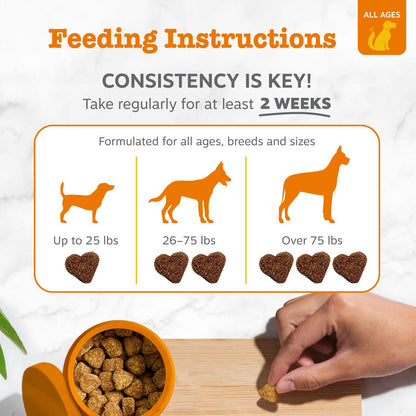 Zesty Paws Dog Allergy Relief - Anti Itch Supplement - Omega 3 Probiotics for Dogs - Digestive Health - Soft Chews for Skin & Seasonal Allergies - with Epicor Pets - Bison - 90ct