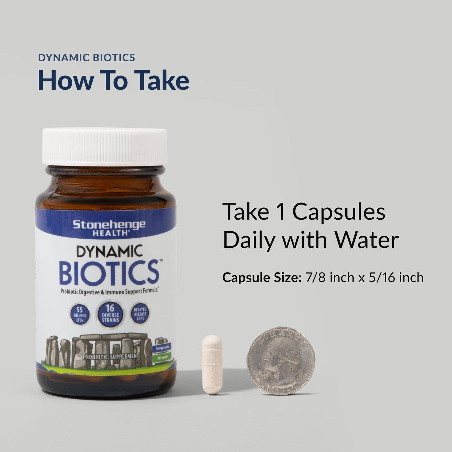 Stonehenge Health Probiotics 55 Billion CFU - 16 Strains, Prebiotic, Synbiotics Dynamic Biotics - Lactobacillus Acidophilus, Delayed Release, Shelf Stable, Non-GMO Gluten Free Veggie Capsule