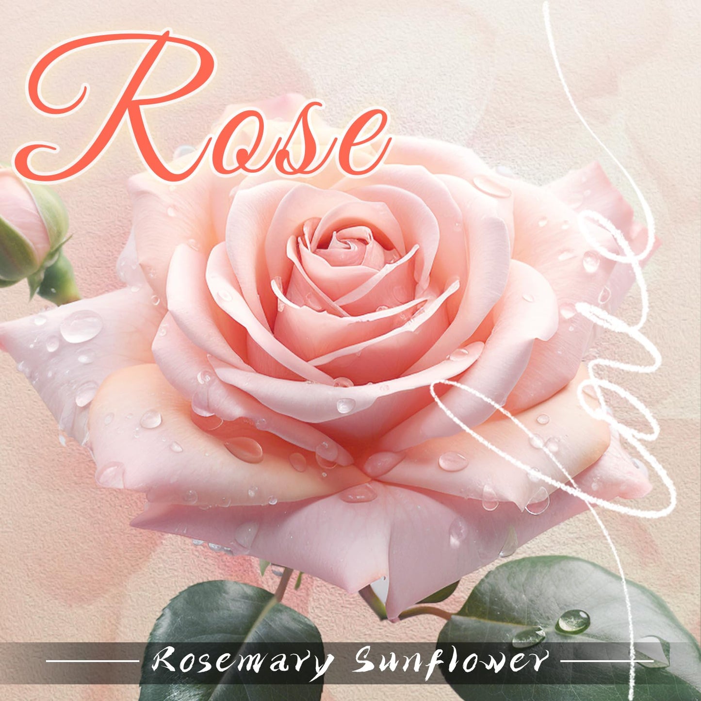 DARJEN Rose Scented Candles for Home- 6.3oz 42H Natural Soy Wax Aromatherapy Jar Candlet, Decorative Aesthetic Candles for Master Bedroom, Date Nights, Self-Care Sunday, Luxury Gift for Women
