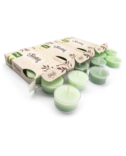 Pine Premium Tealight Candles Variety 3 Pack (18 Highly Scented Tea Lights) - Bayberry Fir, Christmas Tree, Mistletoe Moments - Made with Natural Fragrance Oils - Collection