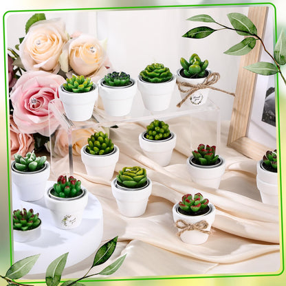MTLEE Cactus Candle Planter, 18 Pcs Paraffin Wax Succulent Tealight Candles with Mini White Terracotta Clay Pots, for Party Favor, Fiesta, Birthday, Wedding Decor, Indoor, 1.57x1.57 inches