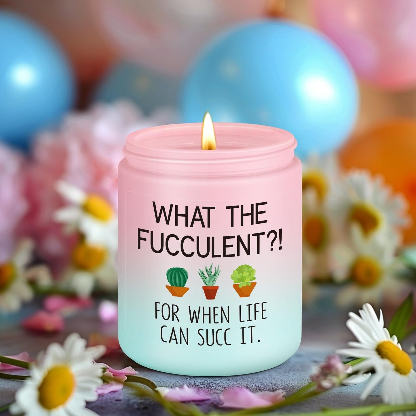 Miracu Succulent Candle, Get Well Presents for Women, Cheer up Idea, Pick Me up, Break up, Plant Lover Gifts for Women, Funny Birthday Mothers Day Cool Gifts for Plant Lovers Mom Lady Friend Wife Her