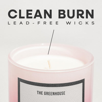 Rose Blackcurrant Candle, 12oz Natural Soy Wax Non Toxic Scented Candle 75 Hours, Bulgarian Rose & Cassis Essential Oil Aromatherapy Candle, Long Lasting Jar Candle Gift for Women