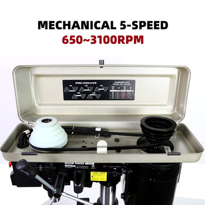 BUCKTOOL 10-Inch Drill Press 6.2 Amp 3/4 HP Bench Drill Press 5-Speed Benchtop Drilling Machine with LED Work Light