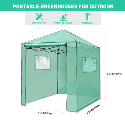 PexFix 6'x 5' Portable Walk-in Greenhouse, Easy Setup, Indoor/Outdoor, 2 Roll-Up Mesh Windows, Roll-Up Zipper Door, Green