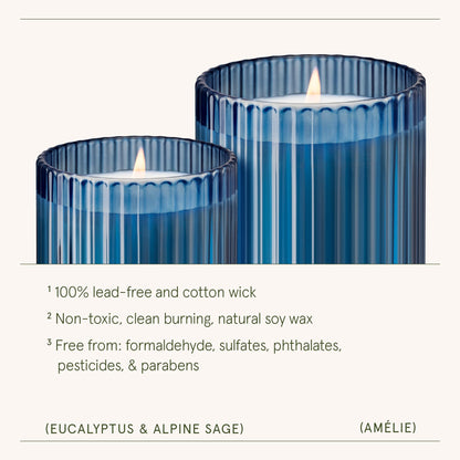 LA JOLIE MUSE Eucalyptus & Alpine Sage | Eucalyptus, Lavender & Sage Candle for Home Cleansing| 11 oz Natural Soy Wax Candle | 60 Hours Clean Burn