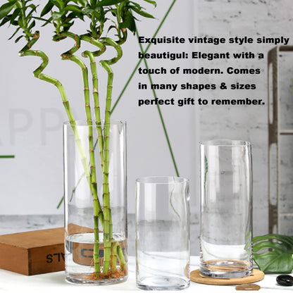 EylKoi Cylinder Vase Bulk Clear 48 Pack Cylinder Vases for Centerpieces Glass Vases for Flowers Hurricane Floating Candle Holder, Home Decor Wedding, 4''+6''+8''+10''(High)