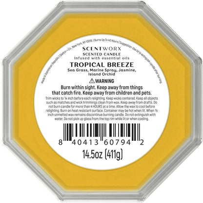 Scent Tropical Breeze Home Fragrance Candle – 14.5 oz 3-Wick Glass Jar