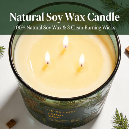 Cedar Pine Scented Candle, 30oz Natural Soy Wax, 3 Wick Large Winter Forest Candle for Home, 100+ Hours Clean Burn, Fresh Cut Christmas Tree Aroma for Holiday Decor, Stress Relief & Gifting
