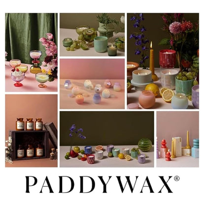 Paddywax Artisan Apothecary Scented Candle with Lid in Reusable Glass Jar, Clean-Burn Soy Candle with Approx. 54 Hour Burn Time, Pumpkin & Spice, 8 oz.