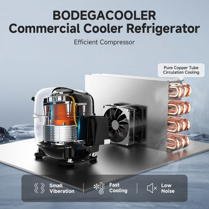 BODEGACOOLER Commercial Merchandiser Refrigerator, 27.02 Cu.Ft Double Glass Door Beverage Cooler, Upright Display Refrigerator with Soft LED Light, Adjustable Shelves, 4 Heavy-Duty Casters, Black