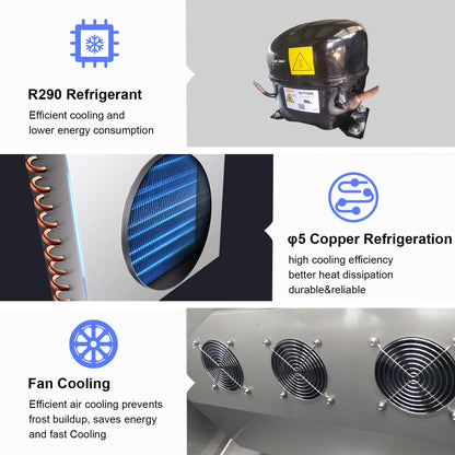 ECEVT 48"W 4 Door Commercial Freezer, 36 Cu.ft Stainless Steel Upright Freezer (-8℉ to -1℉) with 8 Adjustable Shelves, Lockable Door, Wheels, Auto-Defrost for Restaurant, Kitchen, Shop