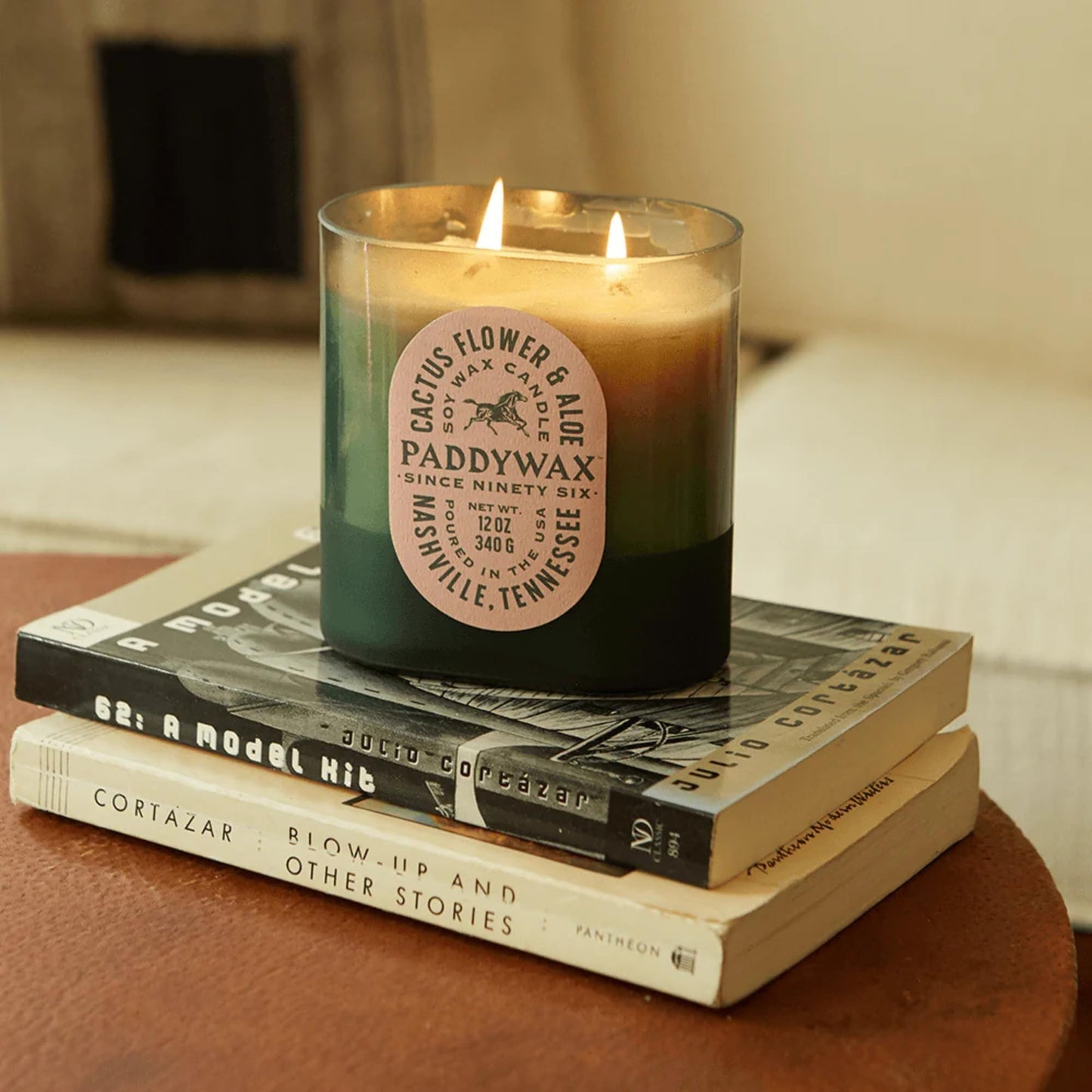 Paddywax Vista Scented Candle with Lid in Reusable Tonal Glass Jar, Clean-Burn 2-Wick Soy Candle with Approx. 84 Hour Burn Time, Decorative Gift Candles for Home, Cactus Flower & Aloe, 12 oz