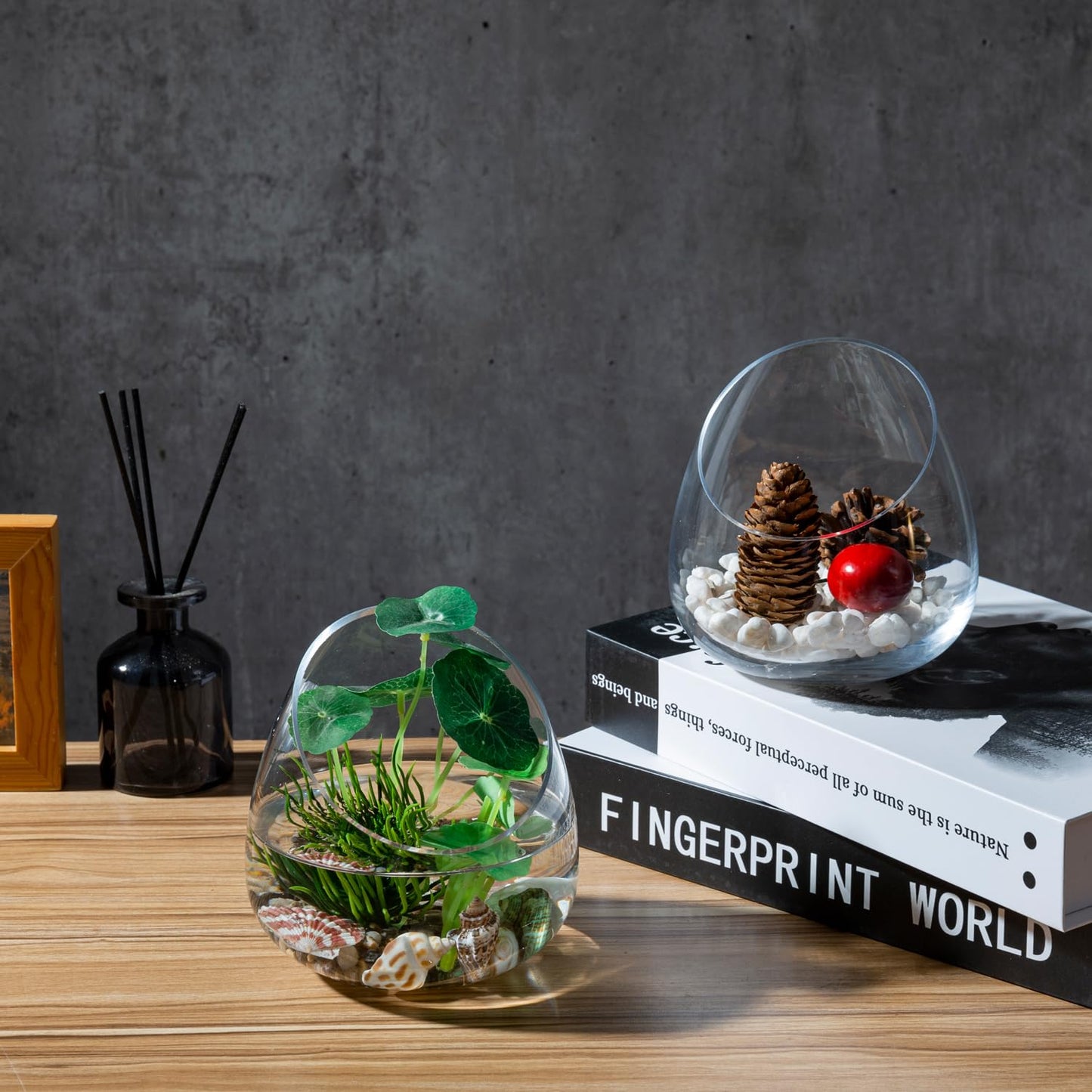 MyGift 5 Inch Premium Clear Glass Air Plant Terrarium, Mini Candy Bowl Jar, Tealight Candle Holder, Succulent Cactus Plant Vase, Set of 2
