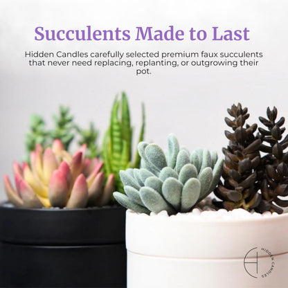 Hidden Candle – Cozy Tiny Home | Vanilla, Lavender & Eucalyptus Scented Candle with Faux Succulent | 10.6oz Soy Wax Refill, Ceramic Vessel | Long-Lasting, Decorative, Gift for Women & Men, Home Décor