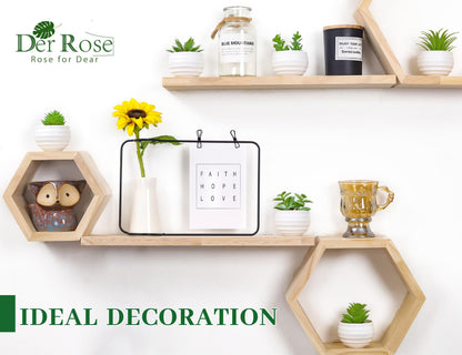 Der Rose Set of 6 Succulents Plants Artificial in Pots Small Fake Plants Graduation Gifts for Bedroom Aesthetic Living Room Shelf Bathroom Decor Office Desk Accessories