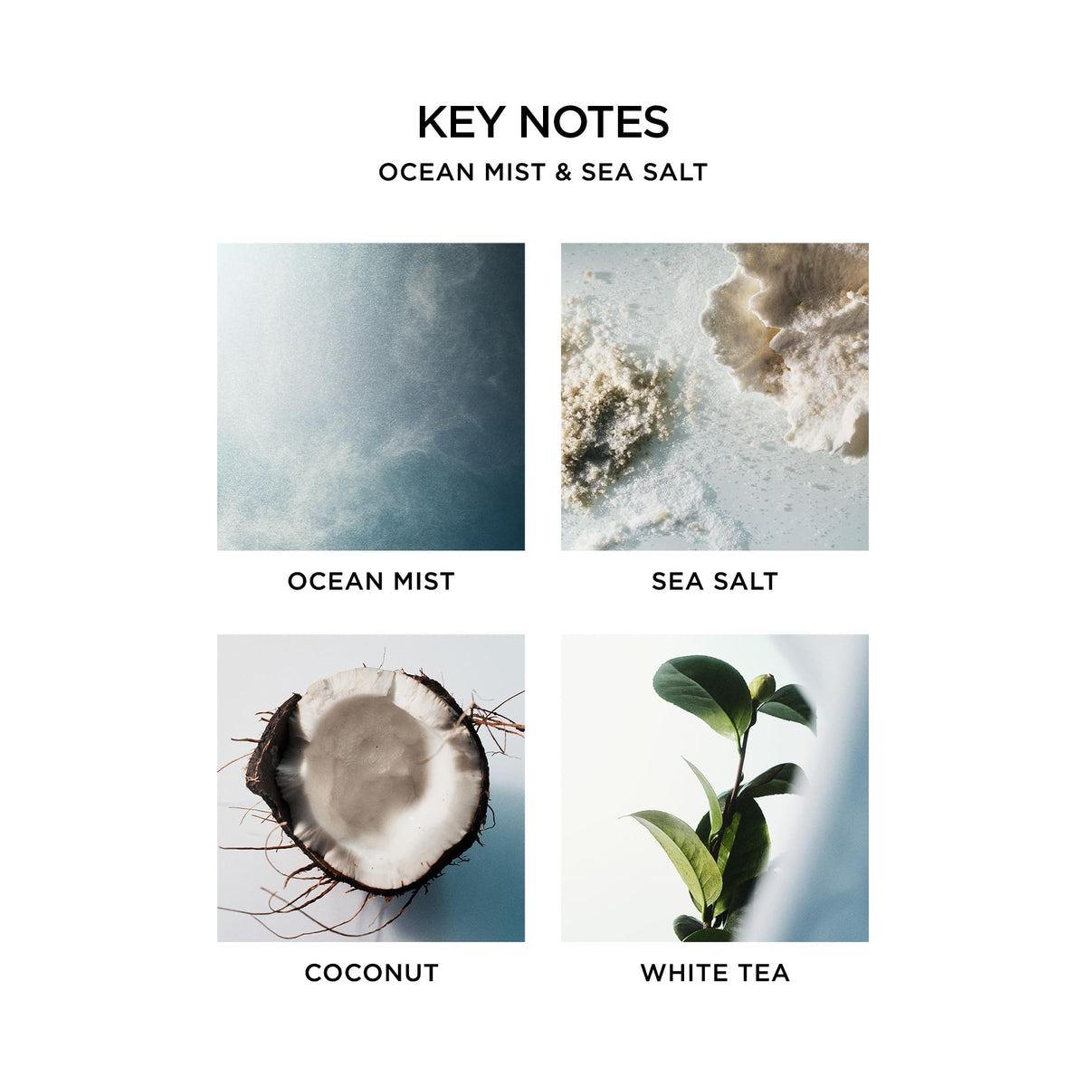 NEST New York Scented Votive Candle, Ocean Mist & Sea Salt - 2 oz - Up to 28-Hour Burn Time - Reusable Glass Vessel