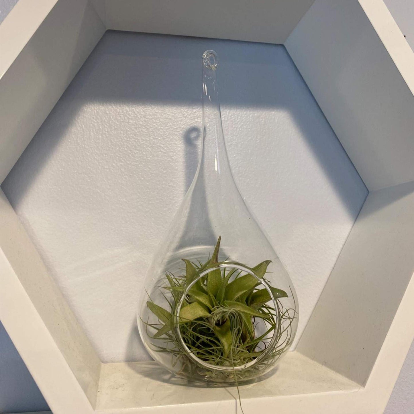 WGV Glass Hanging Plant Terrarium, Width 4", Height 9.25", Teardrop DIY Air Succulent Planter Clear Tea Light Votive Candle Holder, Wedding Event Office Home Outdoor Decor, 1 Piece