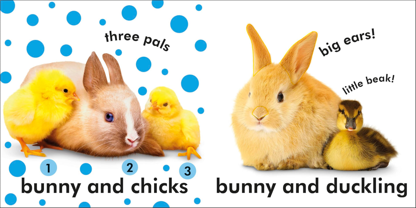 Baby Touch and Feel: Bunny