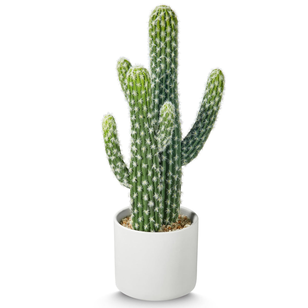 ASTRIDIA Artificial Cactus Plants - Potted Succulents in Ceramic, Faux Cacti and Succulent Decor for Home, Office Desk，Living Room-1pack