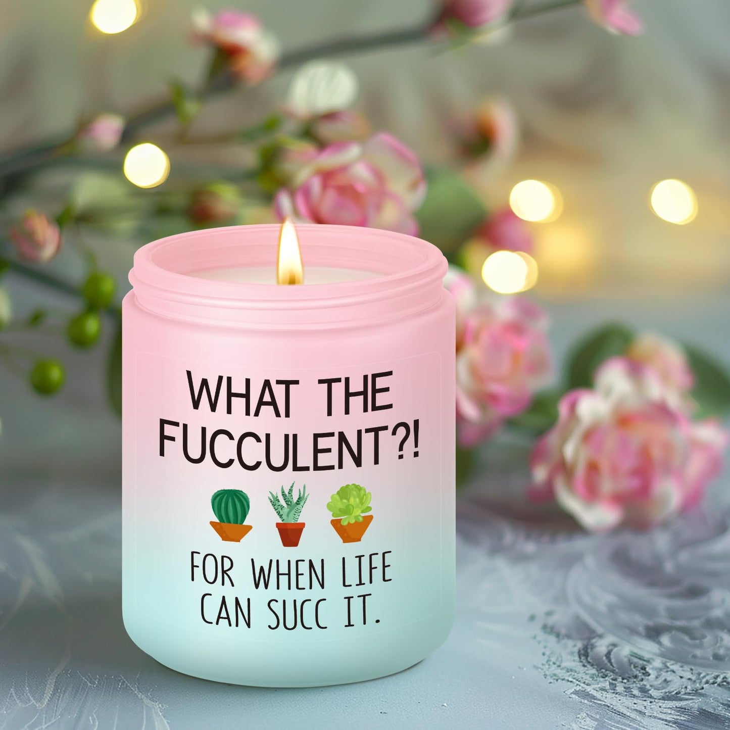 Miracu Succulent Candle, Get Well Presents for Women, Cheer up Idea, Pick Me up, Break up, Plant Lover Gifts for Women, Funny Birthday Mothers Day Cool Gifts for Plant Lovers Mom Lady Friend Wife Her