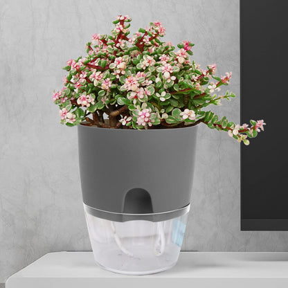 iDattel Herb Pot Kitchen Set Window Sill Self-Watering Set of 3 Herb Garden for The Kitchen, 18.2 x 11 x 15.3 cm, for Fresh Kitchen Herbs, Grey