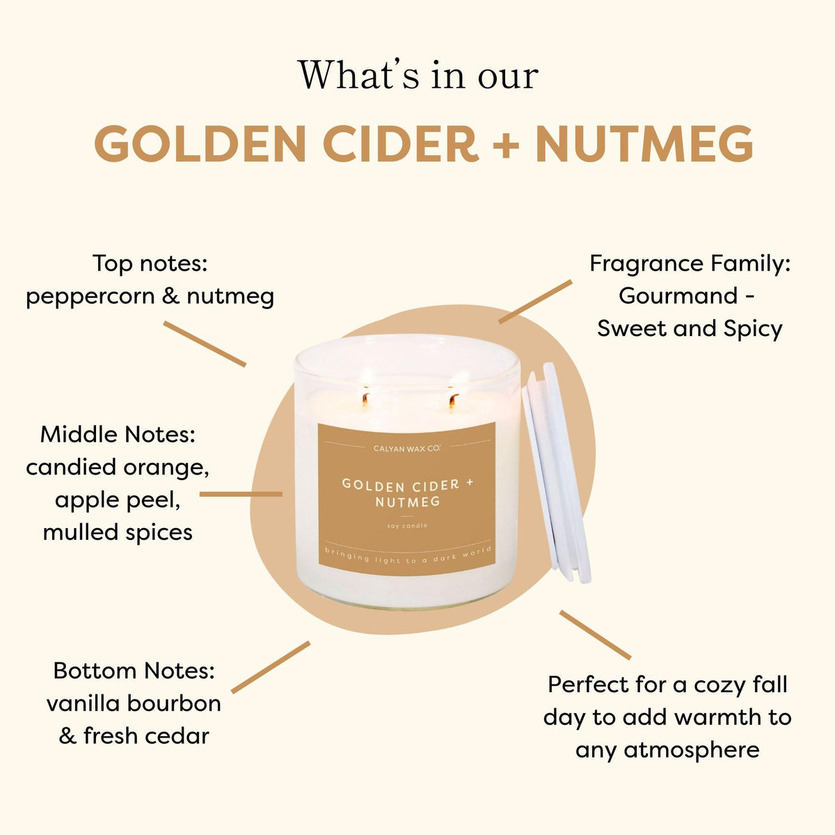 Calyan Wax Co. Golden Cider & Nutmeg 2 Wick Scented Candle - 37 Hour Burn - Luxury Clean Soy Wax Candles - Long Lasting Large Glass Jar Candle for Home - 8.8oz
