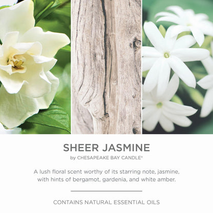 Chesapeake Bay Candle PT42073 Candle Multi-Wick Ceramic Sheer Jasmine Home Décor