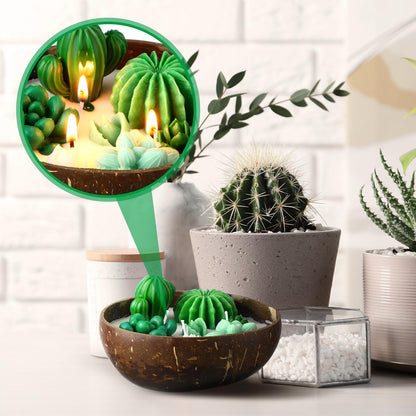 Conelist Succulent Cactus Scented Candle 5.9'' Coconut Scent for Home Wedding Spa Baby Shower Party