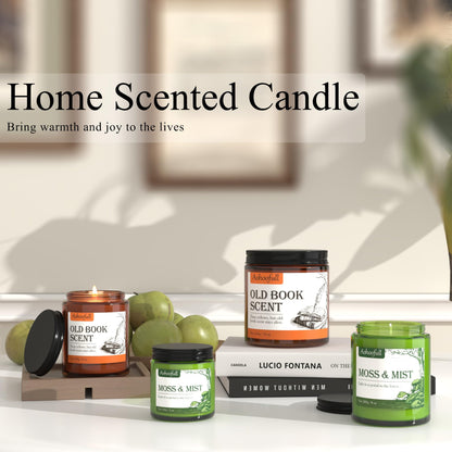Aohoofull Soy Candles for Home Scented,Fall Candle 4oz 20 Hours Burn Moss & Mist Aromatherapy Candle Gift for Stress Relief, Meditation, Yoga, Relaxing SPA, Reusable Jar for Women Men