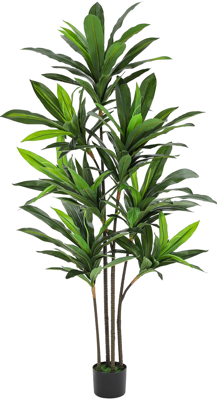 VIAGDO Dracaena Silk Plant Artificial 6ft Faux House Plants Evergreen Dracaena Marginata Fake Yucca Palm Trees in Pot Realistic Dragon Tree for Living Room Home Office Decor Indoor Outdoor